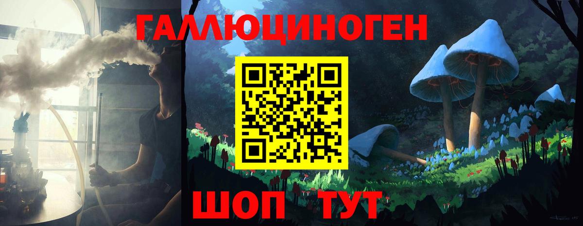 Киров  дарнет шоп  Вход с VPN  Галлюциногенные грибы Cubensis 